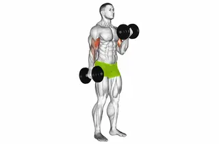 Dumbbell Curl demo