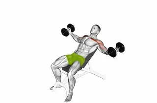 Flat Bench Press demo